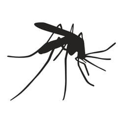 Mosquitoes Control