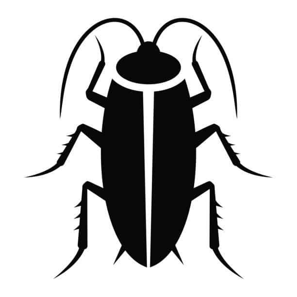 Cockroach Control