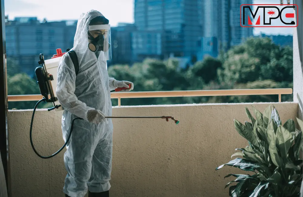 Pest Control Services in Dubai