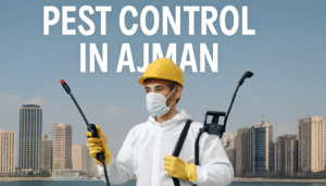 Best Pest Control in Ajman UAE | pest control service in Ajman Dubai