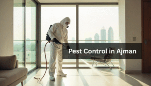 Best Pest Control in Ajman UAE | pest control service in Ajman Dubai