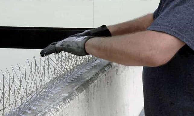 aa8059dd77bcf61f76100a23bdca1325 (2)